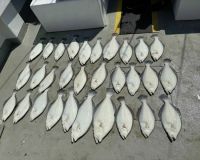 509935212 10233071079813794 n