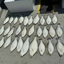 509935212 10233071079813794 n